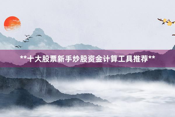 **十大股票新手炒股资金计算工具推荐**