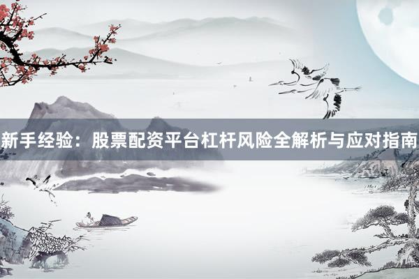 新手经验：股票配资平台杠杆风险全解析与应对指南