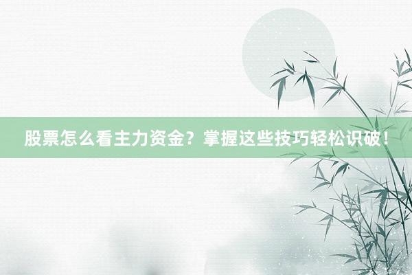 股票怎么看主力资金？掌握这些技巧轻松识破！