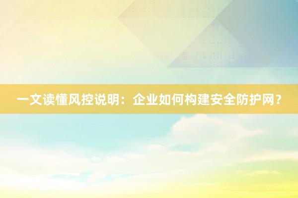 一文读懂风控说明：企业如何构建安全防护网？