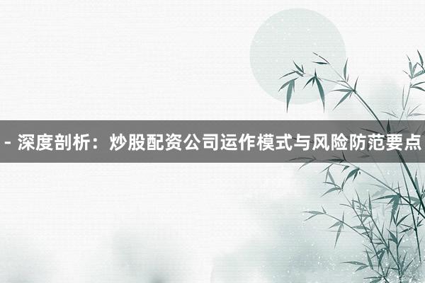 - 深度剖析：炒股配资公司运作模式与风险防范要点
