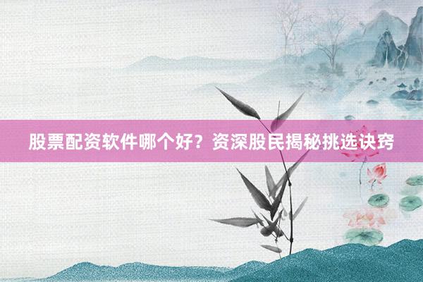 股票配资软件哪个好?资深股民揭秘挑选诀窍