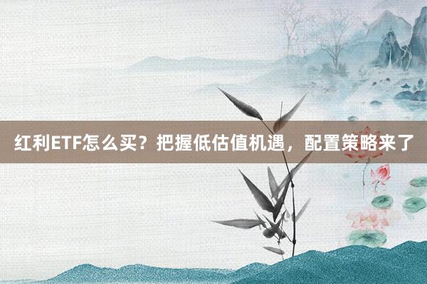 红利ETF怎么买？把握低估值机遇，配置策略来了