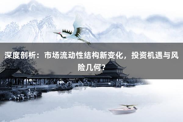 深度剖析：市场流动性结构新变化，投资机遇与风险几何？