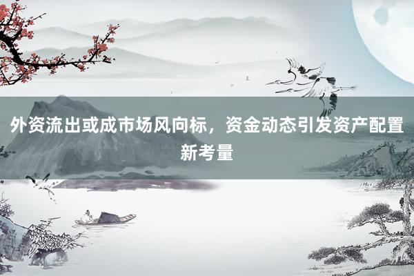 外资流出或成市场风向标，资金动态引发资产配置新考量